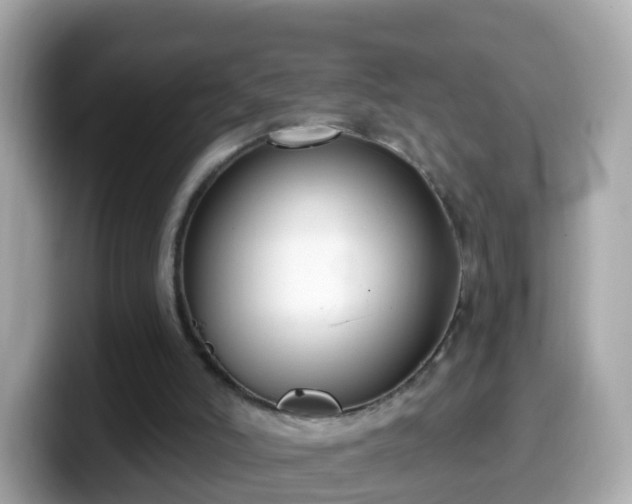 X0000099560006200805231521