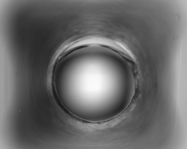 X0000099560007200805231521