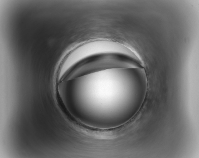 X0000099560008200805231521