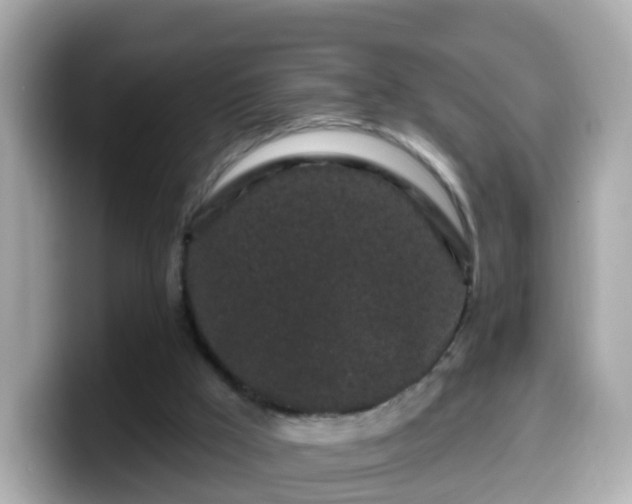 X0000099560009200805231521