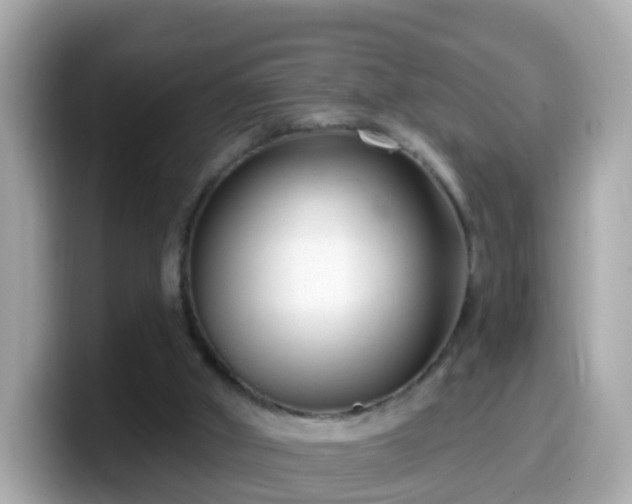 X0000099560010200805231521