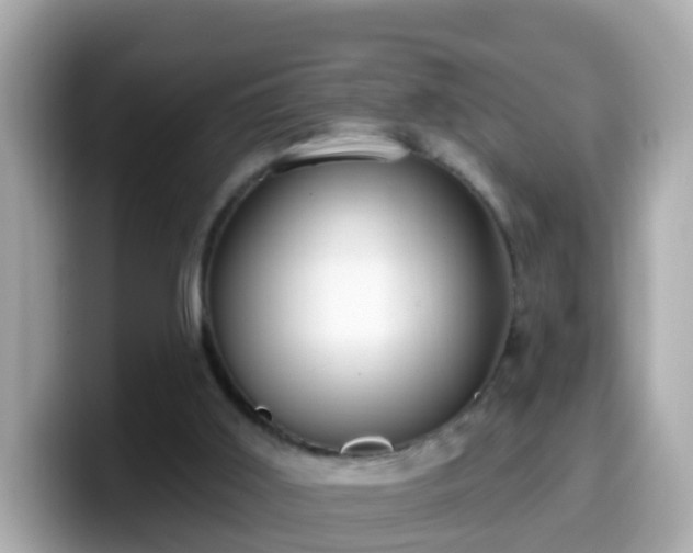 X0000099560011200805231521