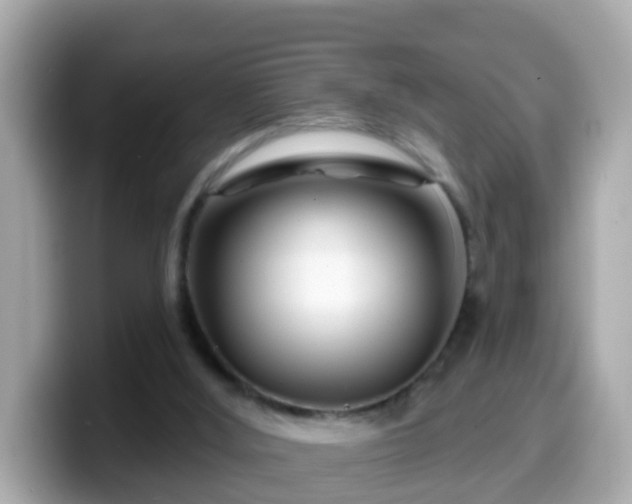 X0000099560012200805231521