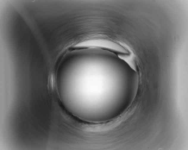 X0000099560013200805231521