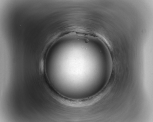 X0000099560014200805231521