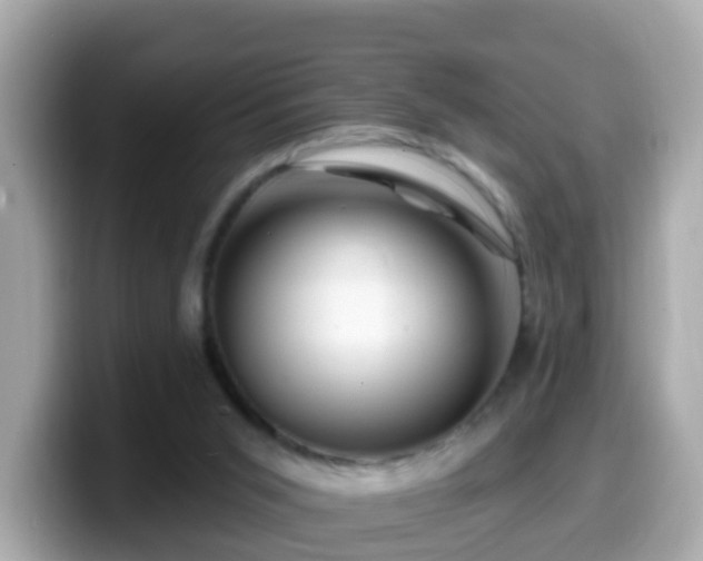 X0000099560015200805231521