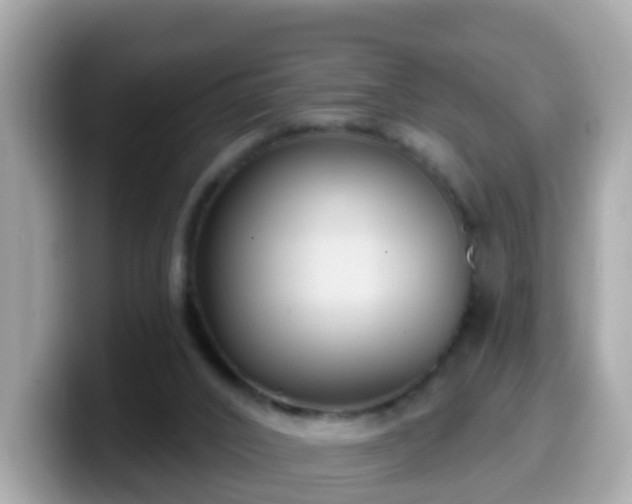 X0000099560016200805231521