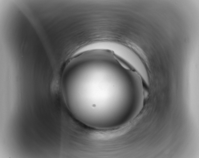 X0000099560017200805231521