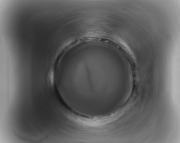 X0000099560019200805231521