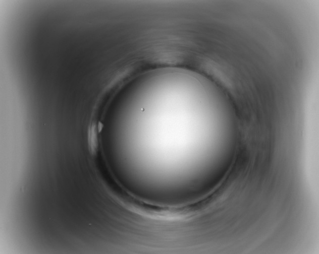 X0000099560020200805231521