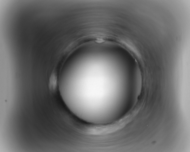 X0000099560021200805231521