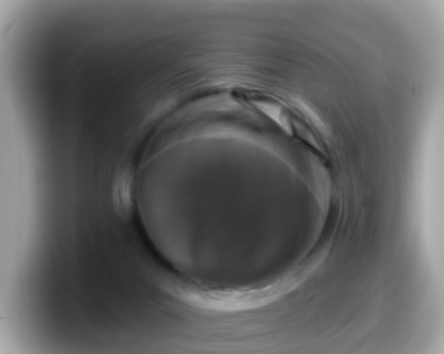 X0000099560023200805231521