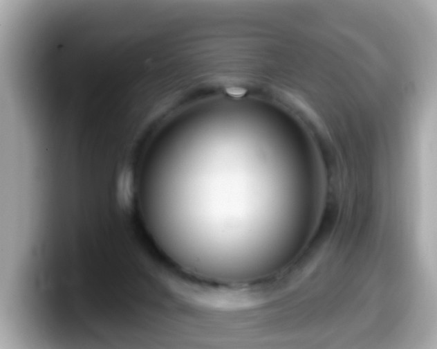 X0000099560024200805231521