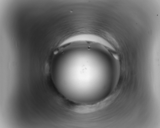 X0000099560025200805231521