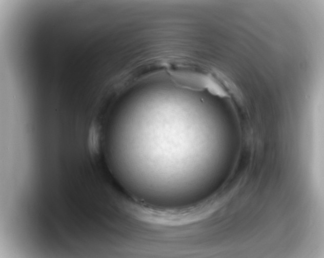 X0000099560026200805231521