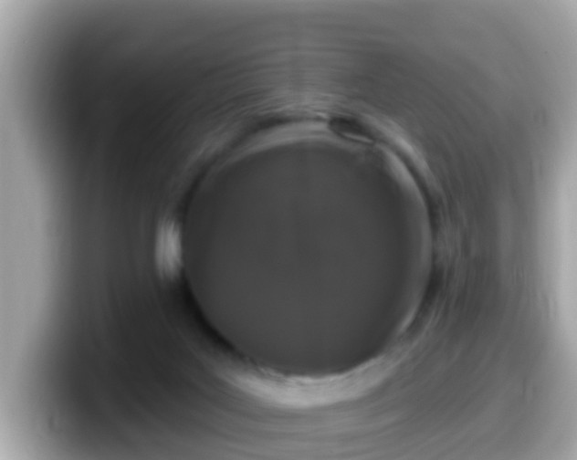 X0000099560027200805231521