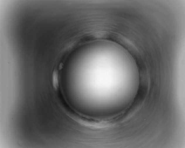 X0000099560028200805231521