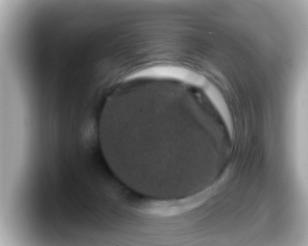 X0000099560029200805231521