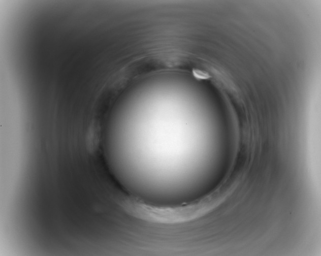 X0000099560030200805231521