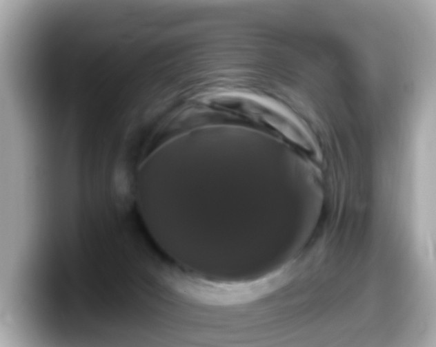 X0000099560031200805231521