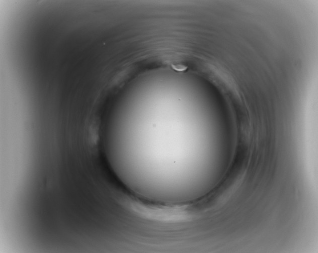 X0000099560032200805231521