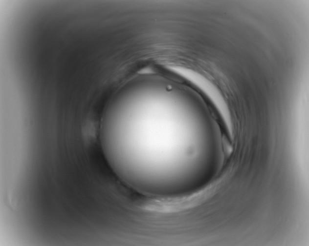 X0000099560033200805231521