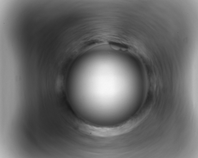 X0000099560034200805231521