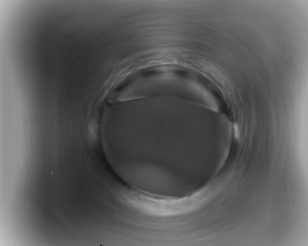 X0000099560035200805231521