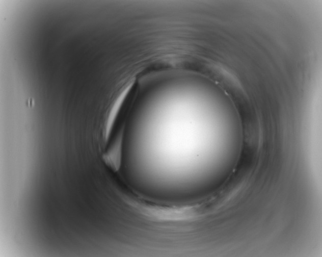 X0000099560036200805231521