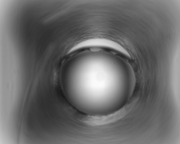 X0000099560037200805231521