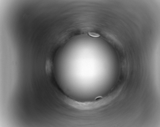 X0000099560038200805231521