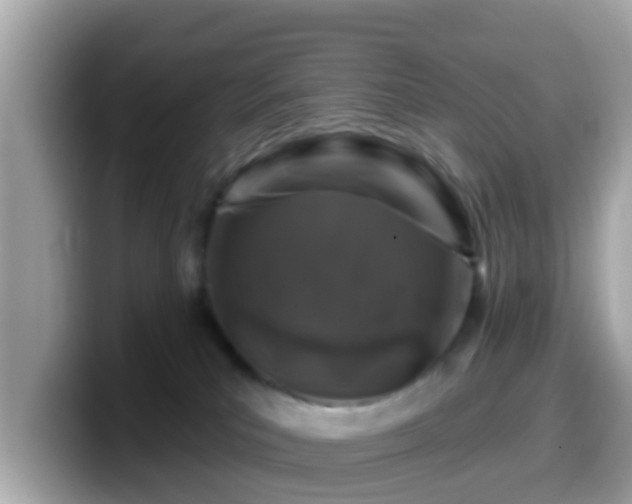 X0000099560039200805231521