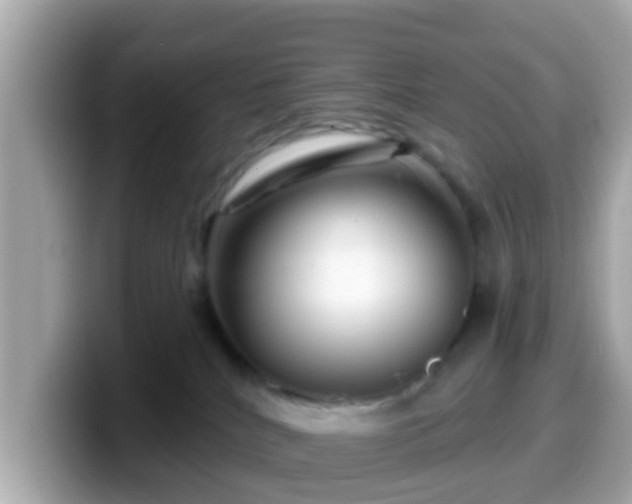 X0000099560040200805231521