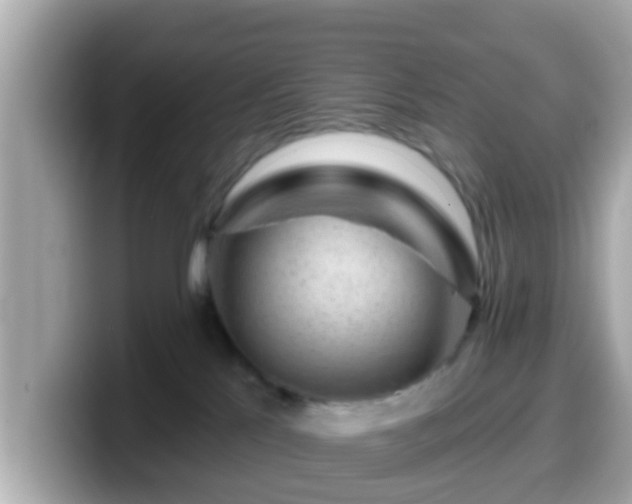 X0000099560041200805231521