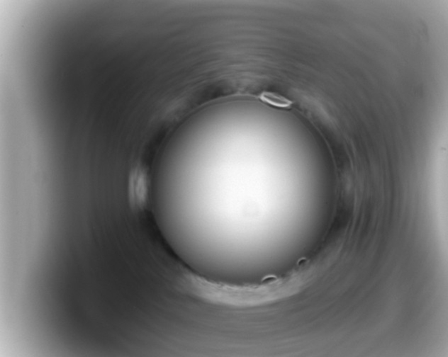 X0000099560042200805231521