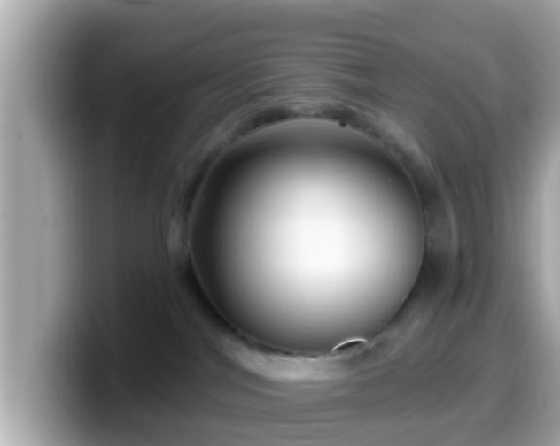 X0000099560044200805231521