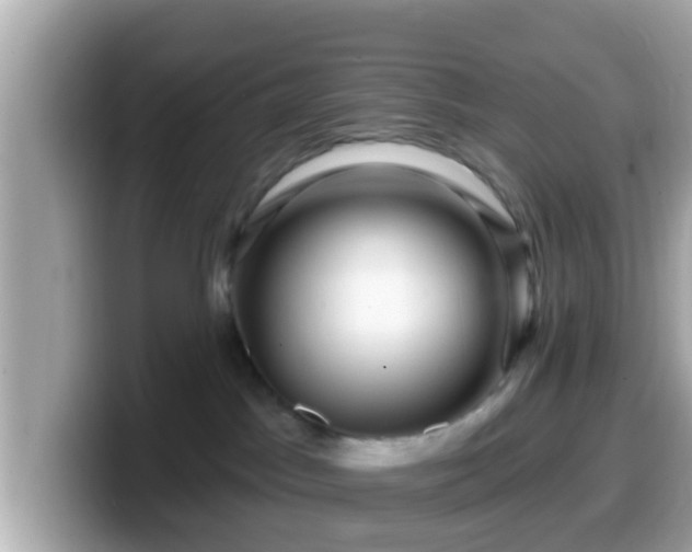 X0000099560045200805231521