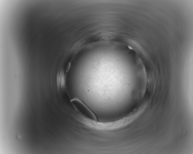 X0000099560046200805231521