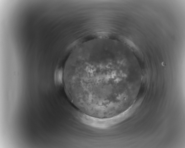 X0000099560047200805231520