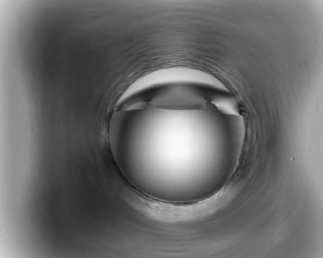 X0000099560048200805231520