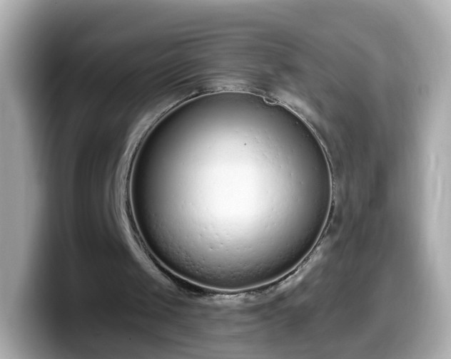 X0000099560049200805231520