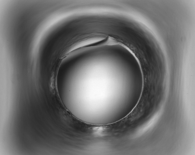 X0000099560050200805231520