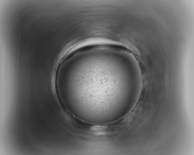 X0000099560051200805231520