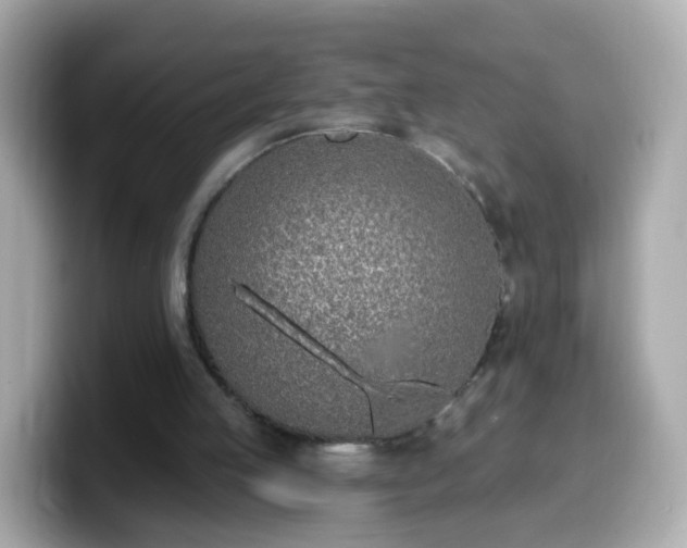 X0000099560053200805231520