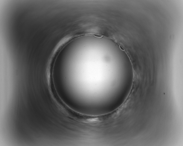 X0000099560054200805231520