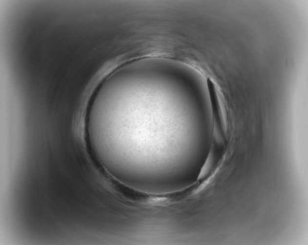 X0000099560055200805231520