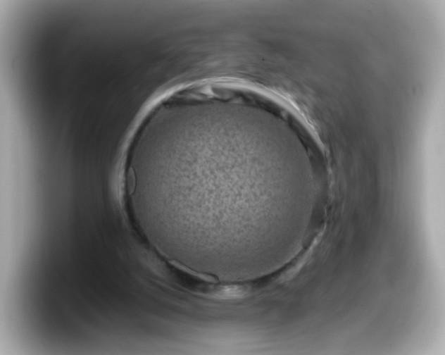 X0000099560056200805231520