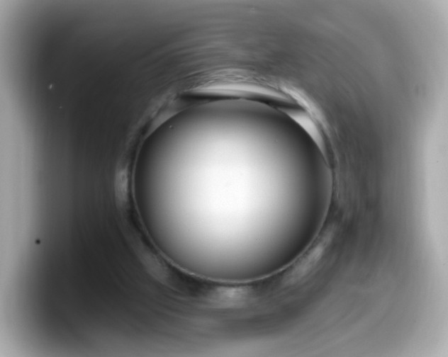 X0000099560057200805231520