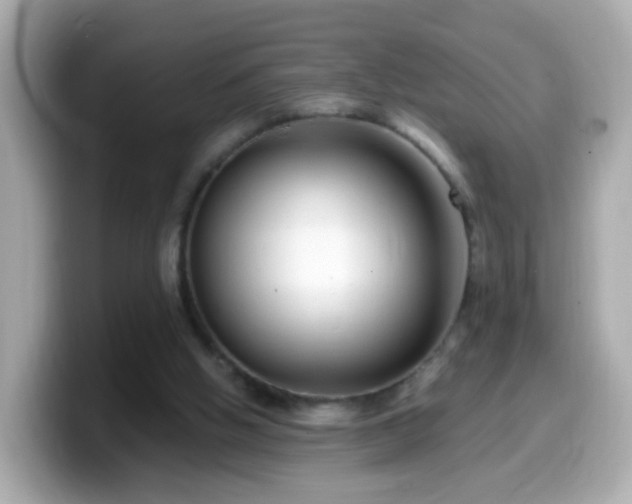 X0000099560058200805231520