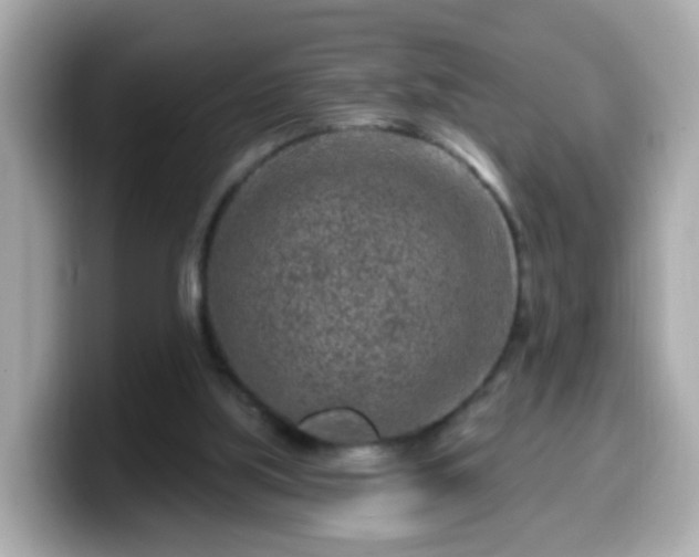 X0000099560059200805231520